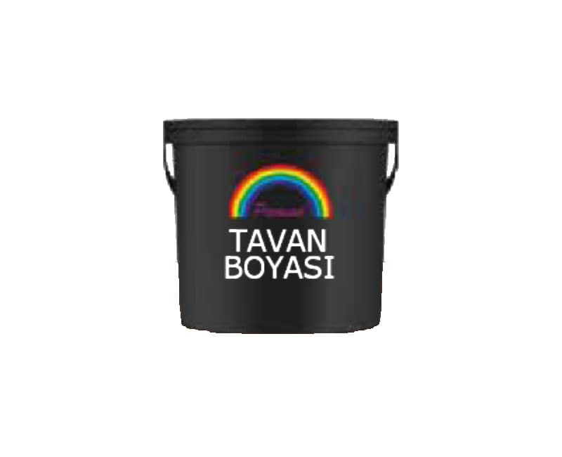 Picasso Tavan Boyasi